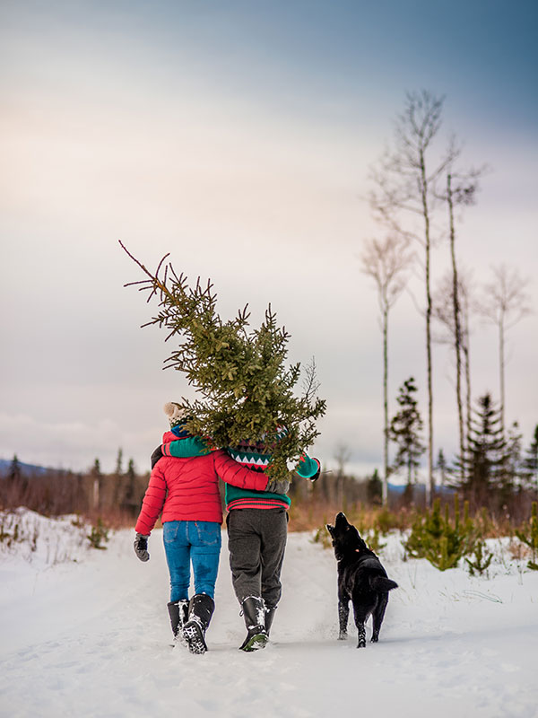 christmas tree