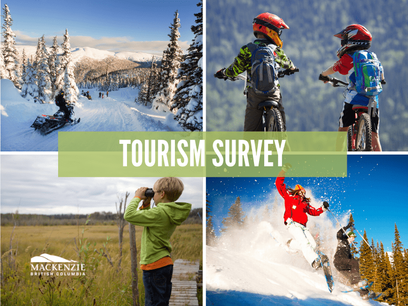 tourism survey