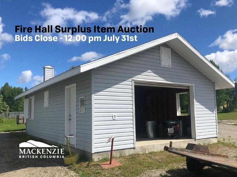 Auction 2020 Auction 2020