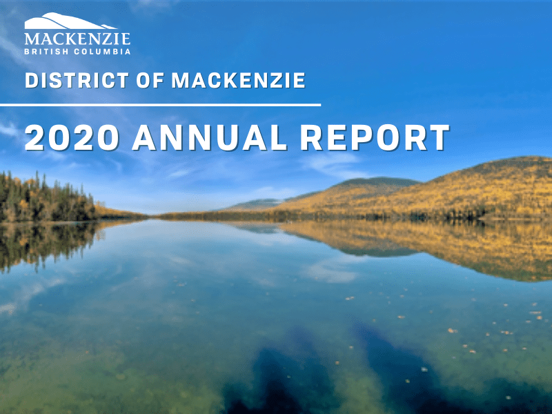 2020 Annual Report