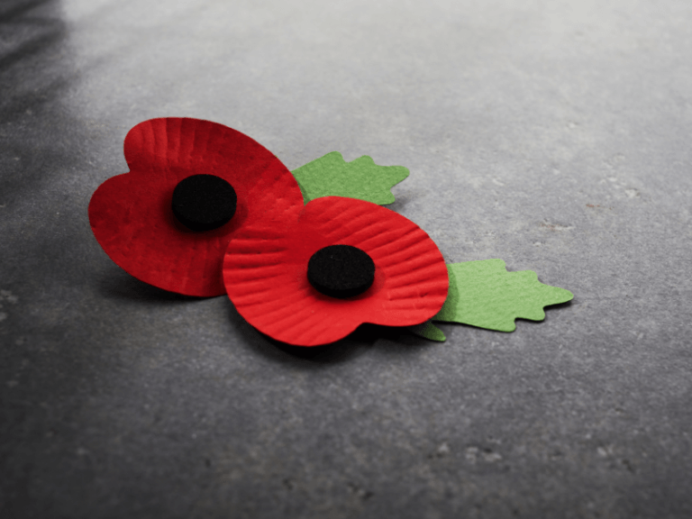 District Facilities Closed to Observe Remembrance Day District of