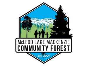 MLMCF Logo