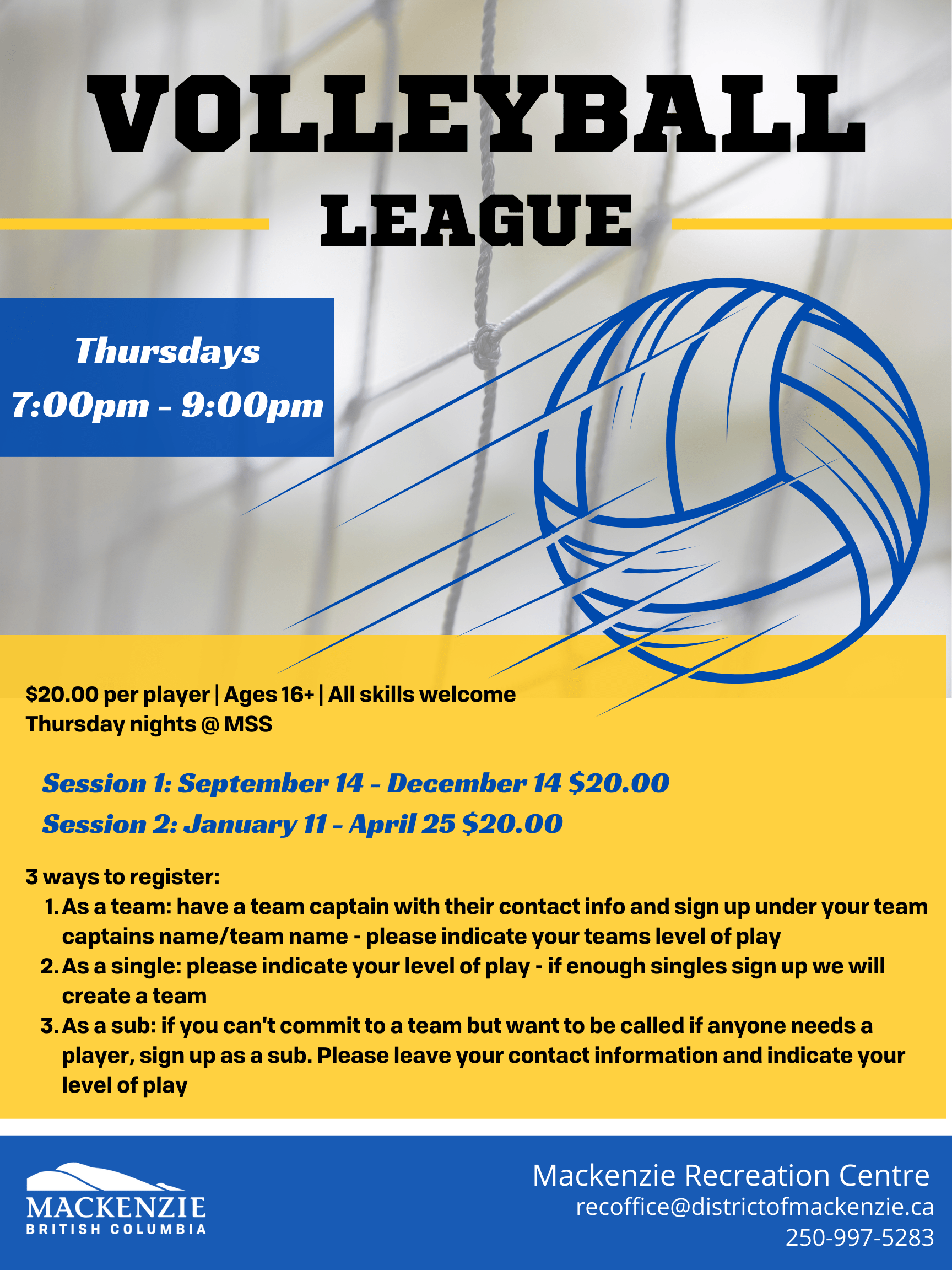 Adult Leagues: Volleyball