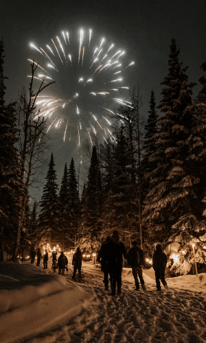 Fireworks by Julia Schellenberg
