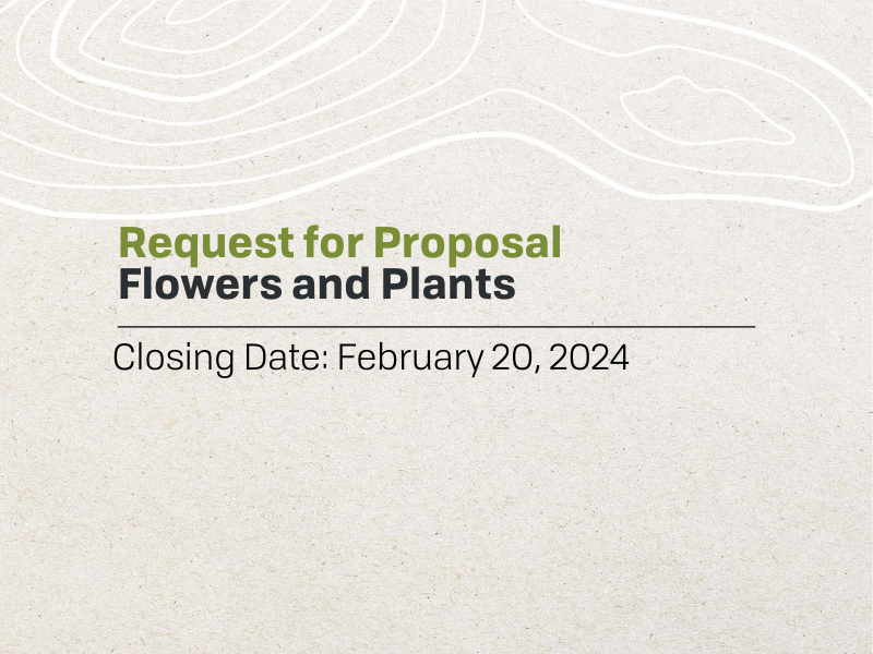 RFP Flowers And Plants