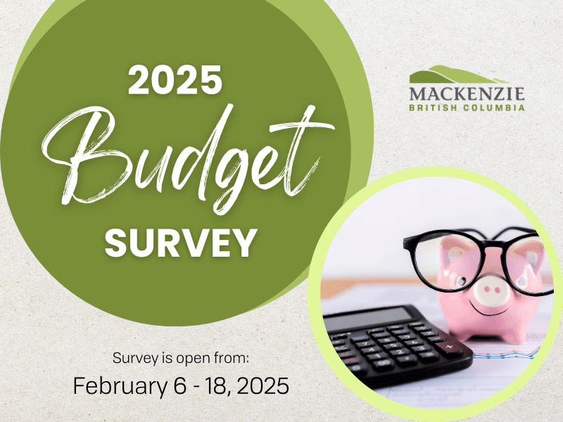 2025 Budget Survey