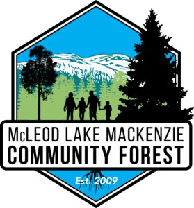 MLMCF Logo MLMCF Logo