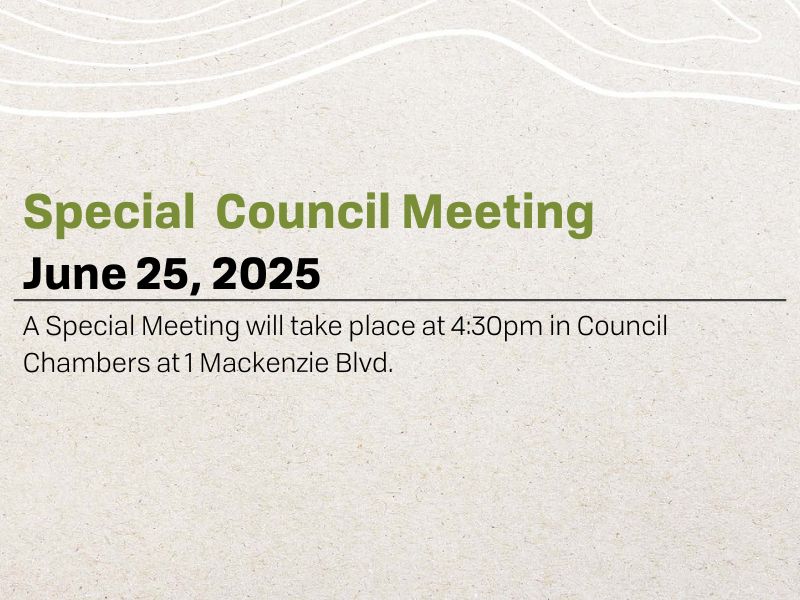 Special Meeting (4)