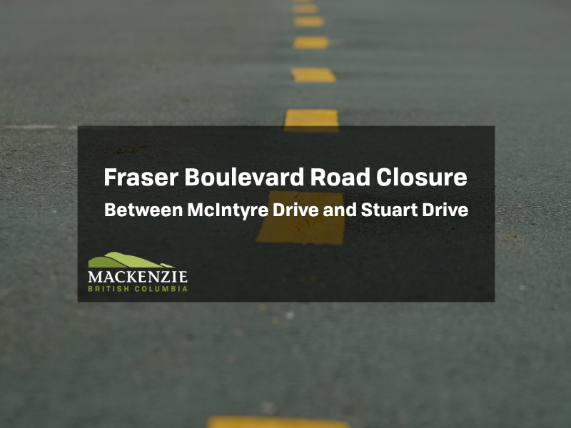 Website & Social Media Posts (3)