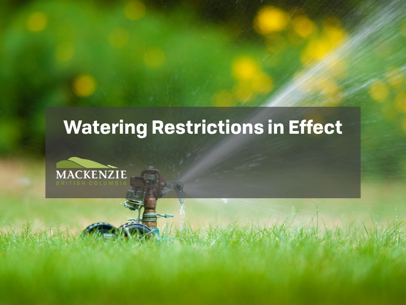 A picture of a sprinkler in the grass with text "Watering Restrictions in Effect"