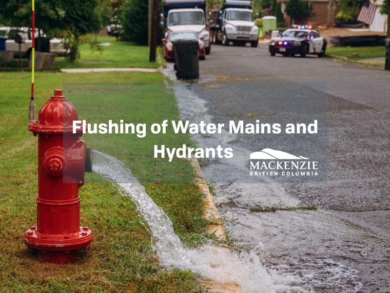 Flushing of Water Mains and Hydrants