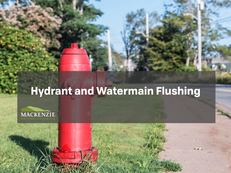 A fire hydrant on on the grass beside a pathway.