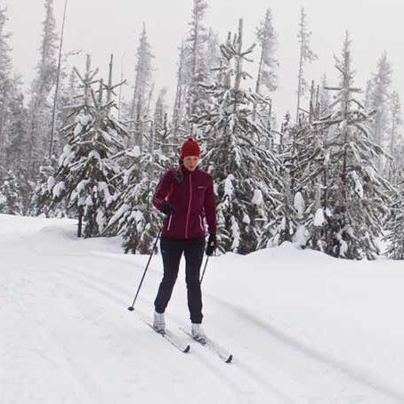 Cross Country Skiing